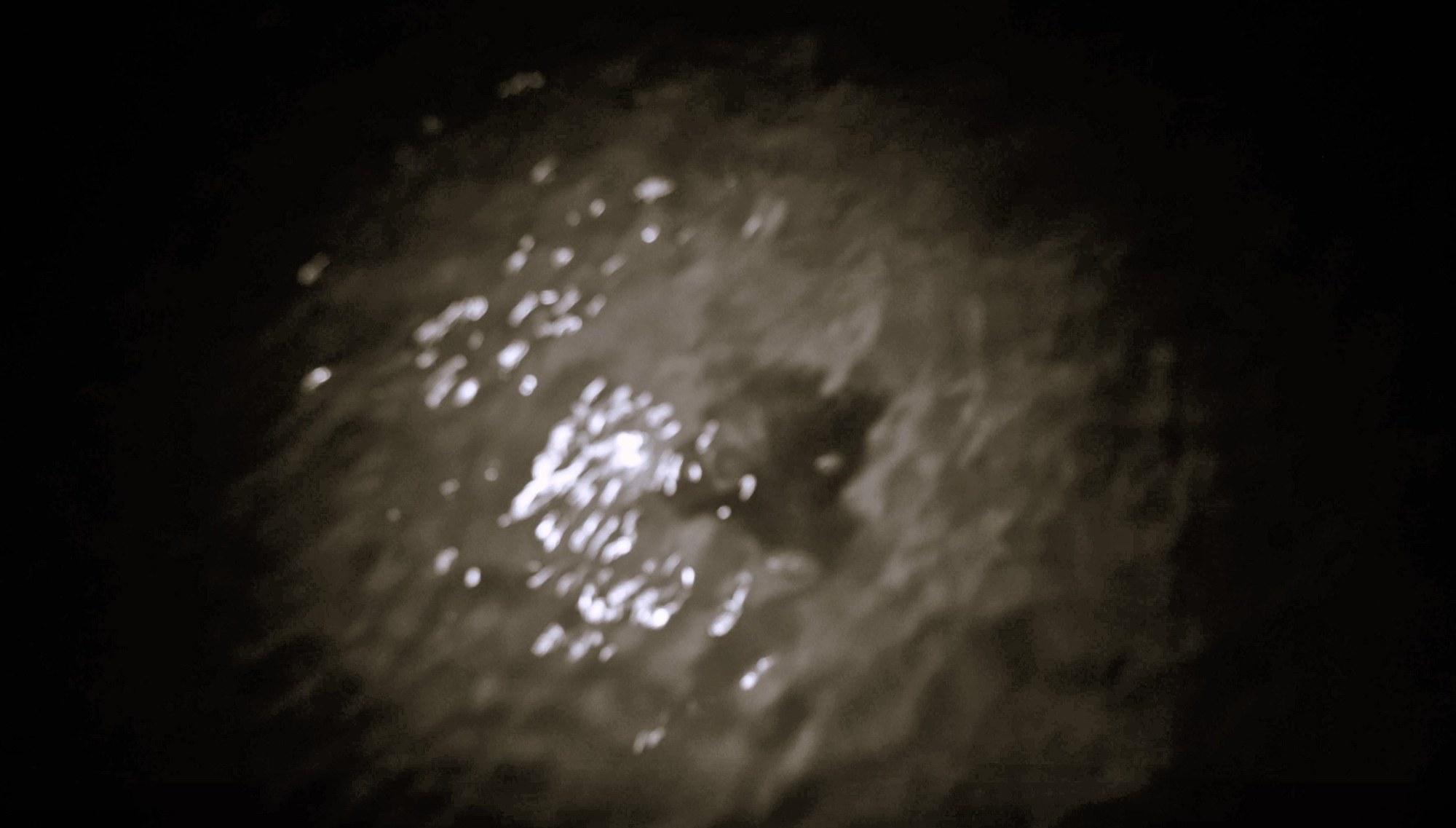 Primordial Mound