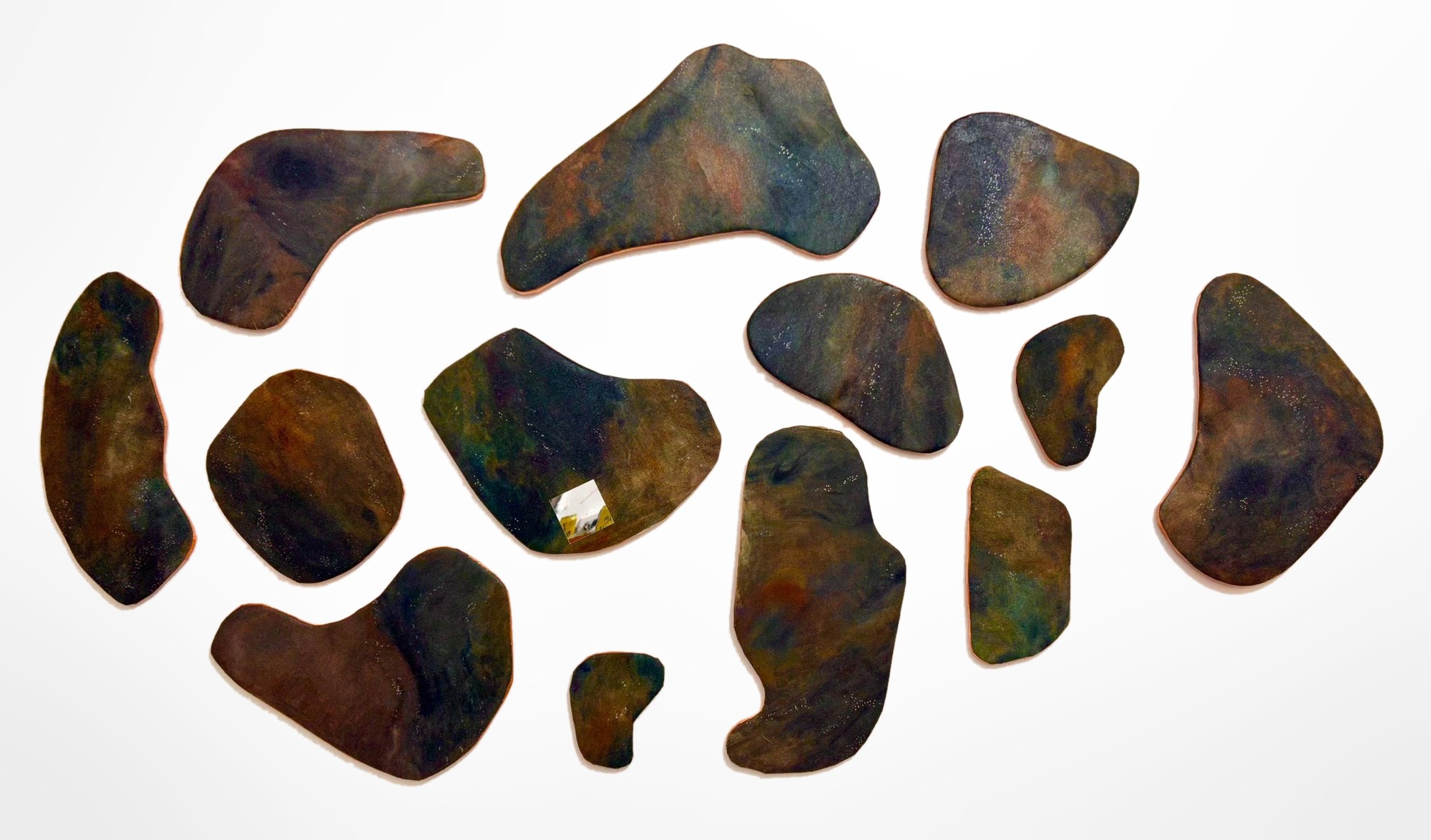 A Collection of Disjoint Sets