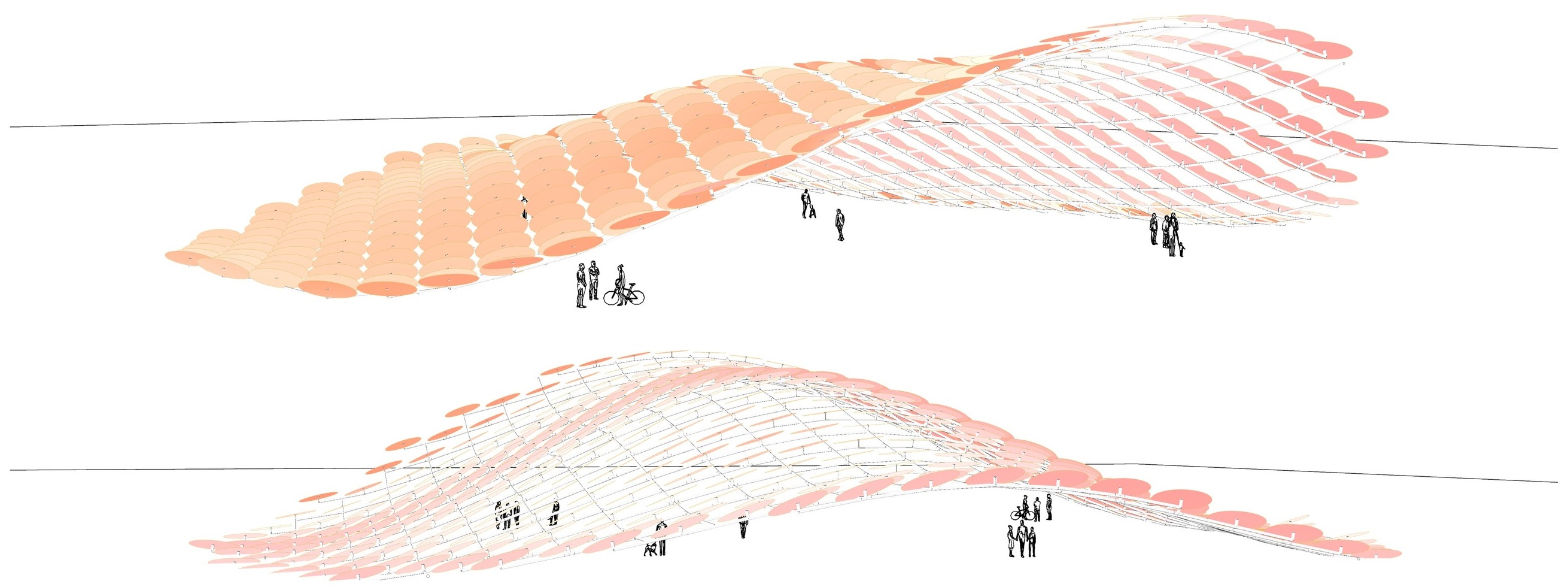 Key views: the canopy from two angles