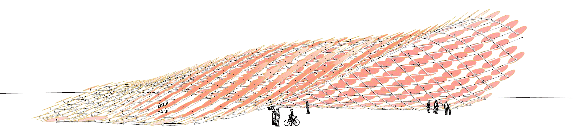 Animated Heliotrope canopy