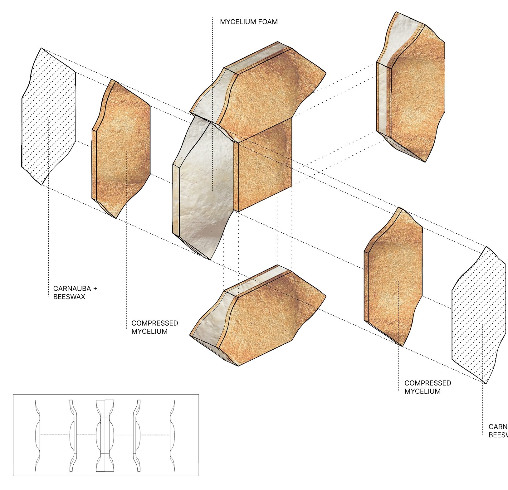 Multi-density myco-block: compressed mycelium skin around a foam core, with a carnauba and beeswax coating
