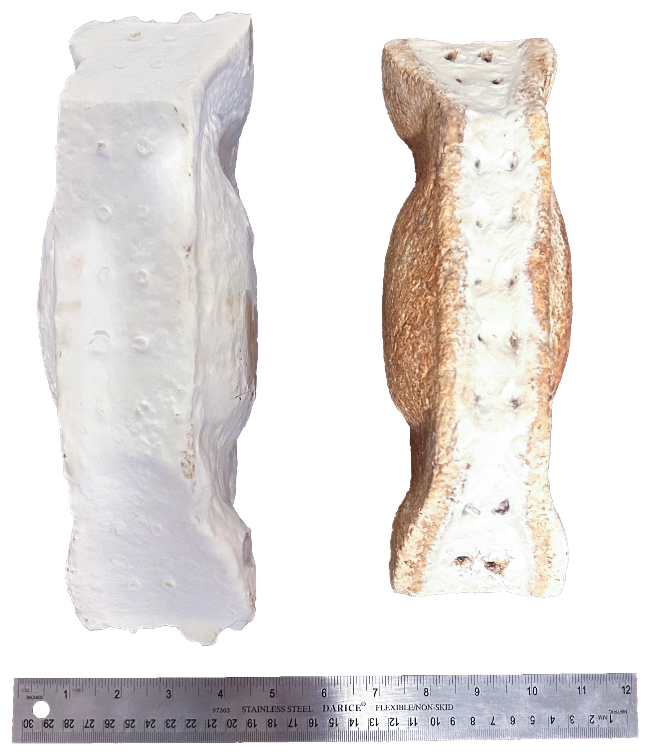 Block profile, live and dry