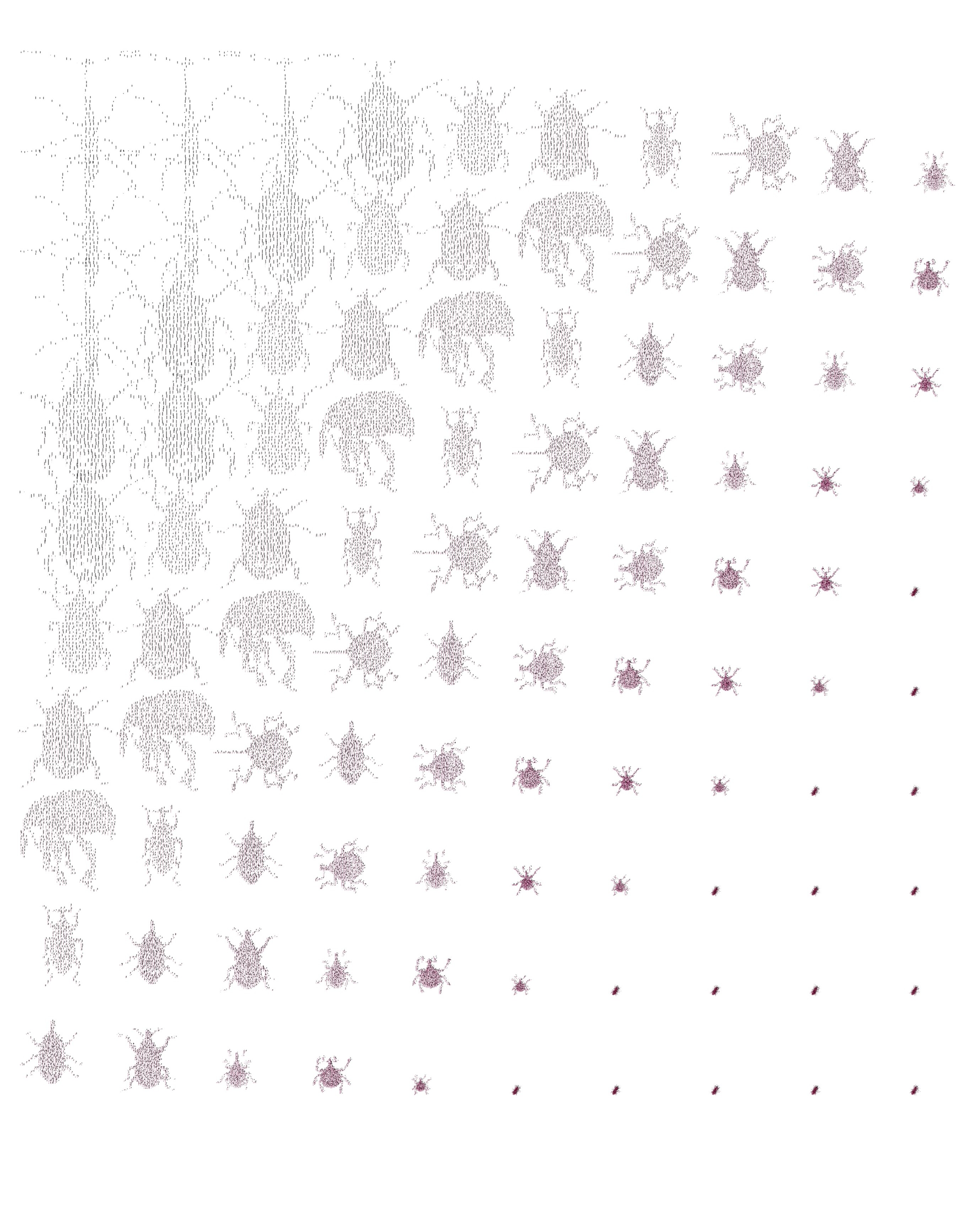 Weevil field: attractor-ranked bins, Rhino Python